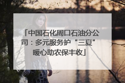 中国石化周口石油分公司：多元服务护“三夏” 暖心助农保丰收