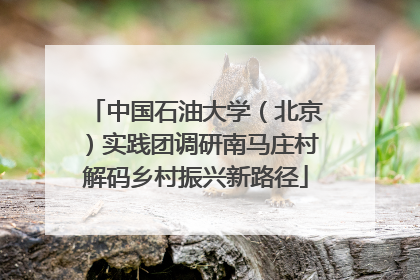 中国石油大学（北京）实践团调研南马庄村解码乡村振兴新路径