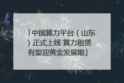 中国算力平台（山东）正式上线 算力租赁有望迎黄金发展期