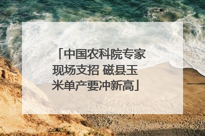 中国农科院专家现场支招 磁县玉米单产要冲新高