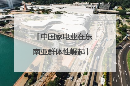 中国家电业在东南亚群体性崛起