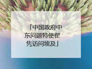 中国政府中东问题特使翟隽访问埃及