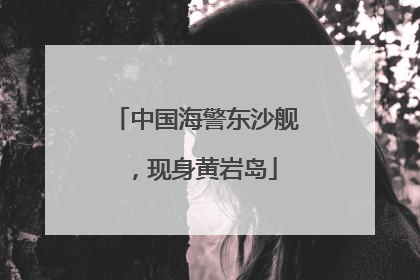 中国海警东沙舰，现身黄岩岛