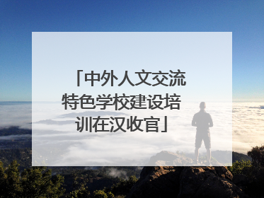 中外人文交流特色学校建设培训在汉收官