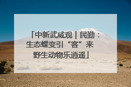 中新武威观｜民勤：生态蝶变引“客”来 野生动物乐逍遥