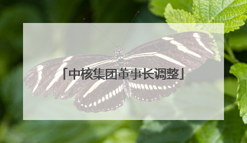 中核集团董事长调整