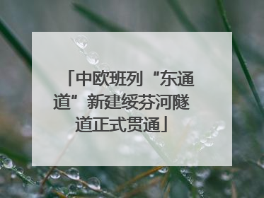 中欧班列“东通道”新建绥芬河隧道正式贯通
