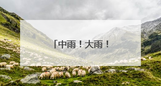 中雨！大雨！暴雨！陕西发布重要天气报告