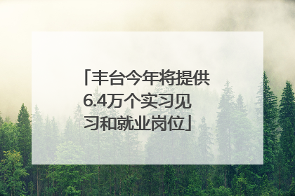 丰台今年将提供6.4万个实习见习和就业岗位