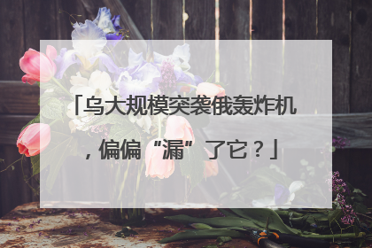 乌大规模突袭俄轰炸机，偏偏“漏”了它？