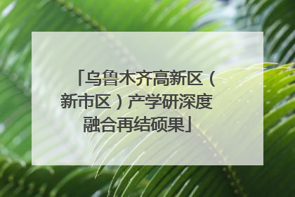 乌鲁木齐高新区（新市区）产学研深度融合再结硕果