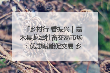 乡村行 看振兴｜嘉禾县龙潭牲畜交易市场：优惠赋能促交易 乡村振兴添动能