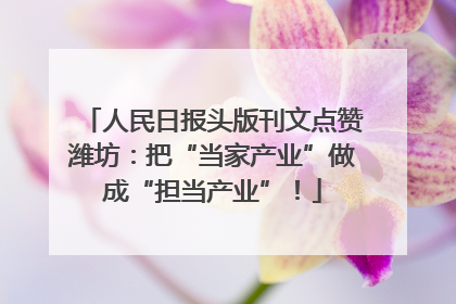 人民日报头版刊文点赞潍坊：把“当家产业”做成“担当产业”！