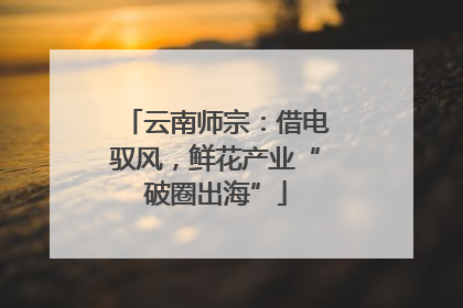 云南师宗：借电驭风，鲜花产业“破圈出海”