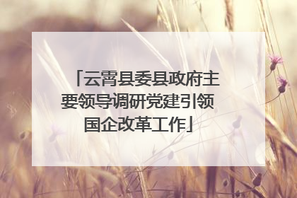 云霄县委县政府主要领导调研党建引领国企改革工作