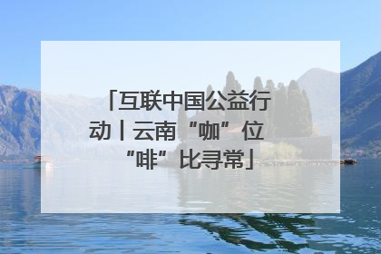 互联中国公益行动丨云南“咖”位“啡”比寻常