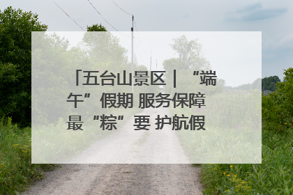 五台山景区｜“端午”假期 服务保障最“粽”要 护航假期“不打烊”