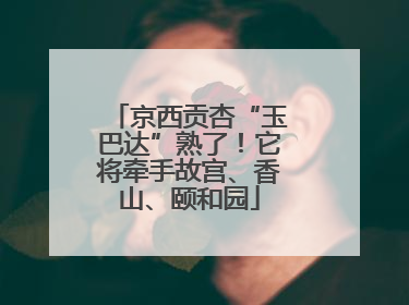 京西贡杏“玉巴达”熟了！它将牵手故宫、香山、颐和园