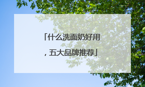 什么洗面奶好用，五大品牌推荐