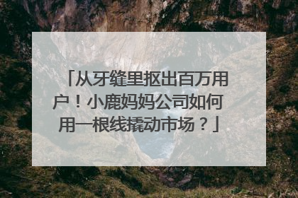 从牙缝里抠出百万用户！小鹿妈妈公司如何用一根线撬动市场？