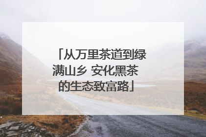 从万里茶道到绿满山乡 安化黑茶的生态致富路