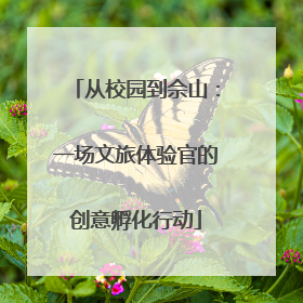 从校园到佘山：一场文旅体验官的创意孵化行动