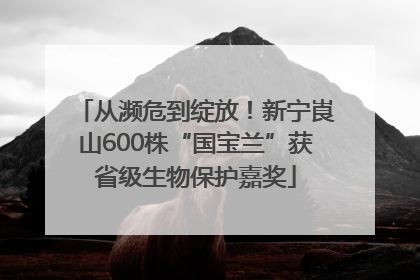 从濒危到绽放！新宁崀山600株“国宝兰”获省级生物保护嘉奖