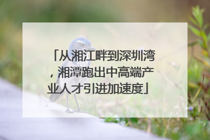 从湘江畔到深圳湾，湘潭跑出中高端产业人才引进加速度
