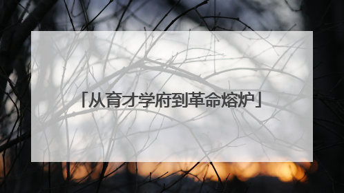 从育才学府到革命熔炉