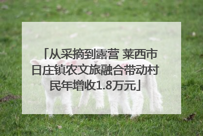 从采摘到露营 莱西市日庄镇农文旅融合带动村民年增收1.8万元