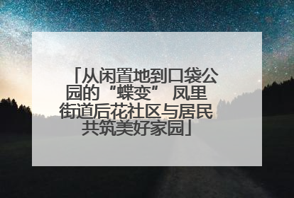 从闲置地到口袋公园的“蝶变” 凤里街道后花社区与居民共筑美好家园
