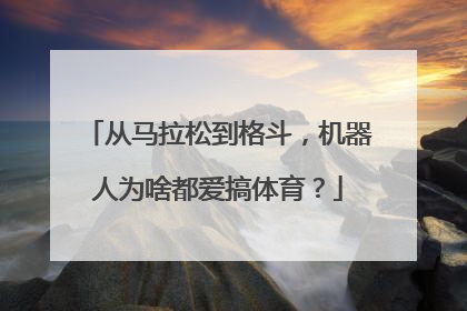 从马拉松到格斗，机器人为啥都爱搞体育？