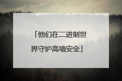 他们在二进制世界守护高墙安全