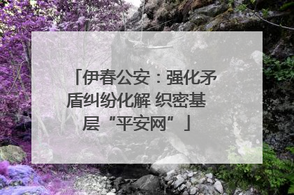 伊春公安：强化矛盾纠纷化解 织密基层“平安网”