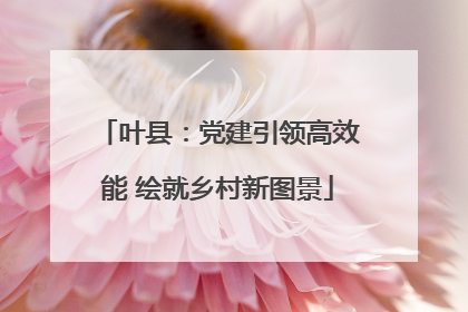 叶县：党建引领高效能 绘就乡村新图景