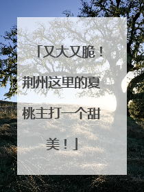 又大又脆！荆州这里的夏桃主打一个甜美！