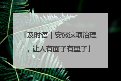 及时语｜安徽这项治理，让人有面子有里子