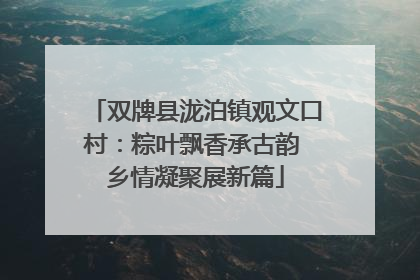 双牌县泷泊镇观文口村：粽叶飘香承古韵 乡情凝聚展新篇
