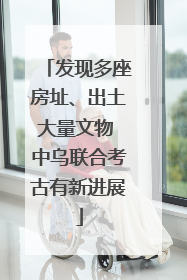 发现多座房址、出土大量文物 中乌联合考古有新进展