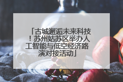 古城邂逅未来科技！苏州姑苏区举办人工智能与低空经济路演对接活动