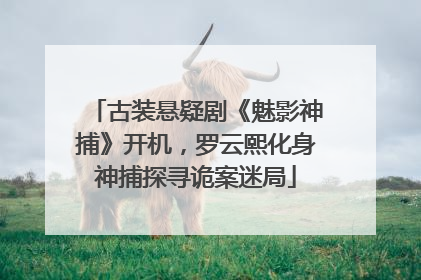 古装悬疑剧《魅影神捕》开机，罗云熙化身神捕探寻诡案迷局