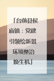 台前县侯庙镇：党建引领绘新景 环境整治焕生机