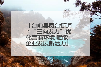 台前县凤台街道：“三向发力”优化营商环境 赋能企业发展新活力