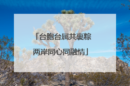 台胞台属共裹粽 两岸同心同融情