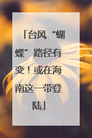 台风“蝴蝶”路径有变！或在海南这一带登陆
