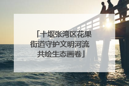 十堰张湾区花果街道守护文明河流 共绘生态画卷