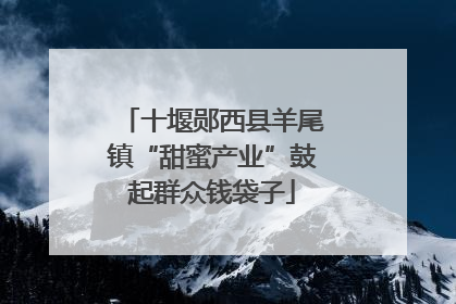 十堰郧西县羊尾镇“甜蜜产业”鼓起群众钱袋子