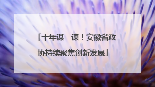 十年谋一谏！安徽省政协持续聚焦创新发展