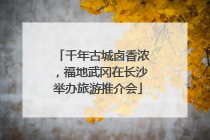 千年古城卤香浓，福地武冈在长沙举办旅游推介会