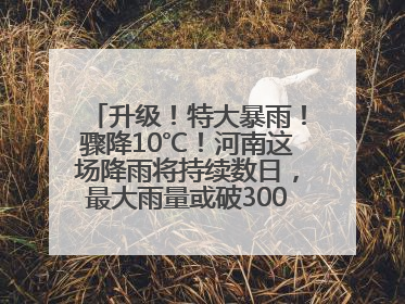 升级！特大暴雨！骤降10℃！河南这场降雨将持续数日，最大雨量或破300毫米极端纪录